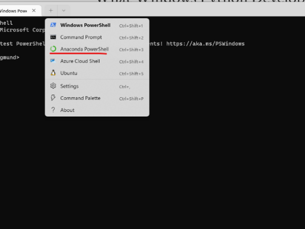 Windows Python Developers Had Better Setup Earlier (IV): Add Anaconda PowerShell on Windows Terminal