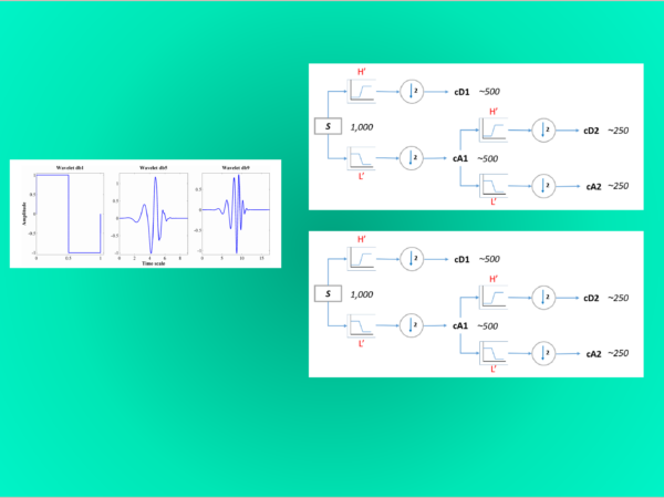 Decimated Wavelet Transform (DWT) Versus Undecimated Wavelet Transform (UWT)